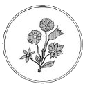 Emblema che evoca il nome del comandante d'armata, il Gen.Oberst Adolf Strauss, il cui nome significa 'Bouquet'