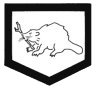 Emblema del Pionier Führer dell'armata