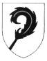 Emblema portato fino alla fine del conflitto
